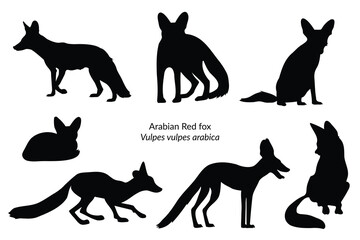 Arabian Red fox (vulpes vulpes arabica) isolated black shapes - obrazy, fototapety, plakaty
