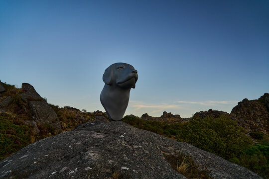 Monument of a dog head of Castro Laboreiro shepherd dog breed at the medieval Castle Ruins of Castro Laboreiro in the mountains of northern Portugal inside Geras national park.