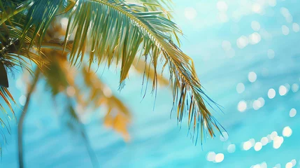 Foto op Plexiglas A palm tree is shown with the ocean in the background. The image has a bright and sunny mood, with the palm tree and ocean creating a sense of relaxation and tranquility © wanchai