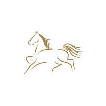 Horse line art logo design template