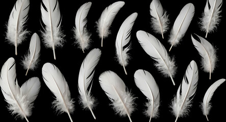 Vector white feathers collection, set of different falling fluffy twirled feathers, isolated on transparent background. Realistic style, vector 3d illustra geneative ai - obrazy, fototapety, plakaty