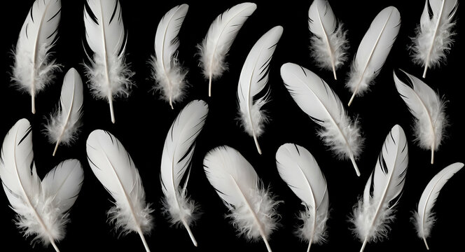 Vector white feathers collection, set of different falling fluffy twirled feathers, isolated on transparent background. Realistic style, vector 3d illustra geneative ai