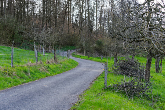 Diminishing perspective of winding rural road with apple trees, meadow and forest in the background on a sunny spring afternoon at Swiss town. Photo taken March 20th, 2024, Zurich, Switzerland.