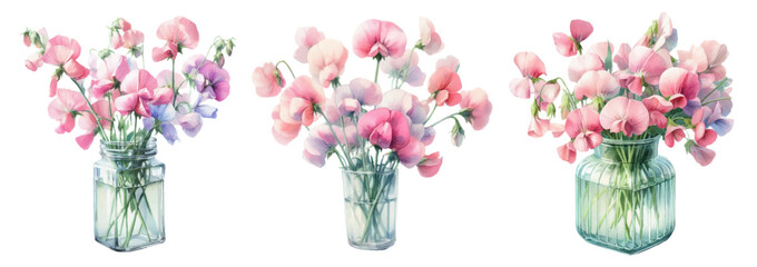 Watercolor illustration material set of sweet peas in a glass vase
