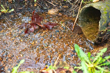 Small valleys and waterways in the forest