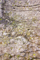 grungy texture of a grey stone with moss and caracks