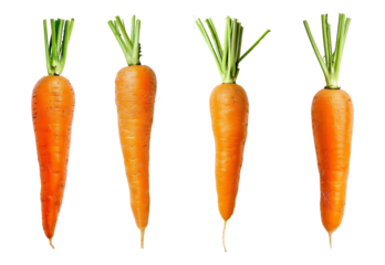 Set of carrot isolated on transparent background