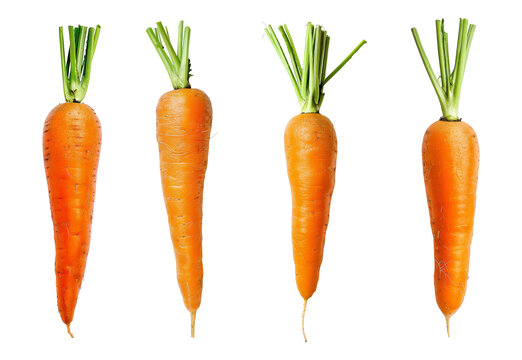 Set of carrot isolated on transparent background