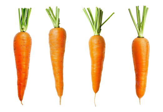 Set of carrot isolated on transparent background