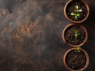 Growth Trio, Three terracotta pots with young plants sprouting from rich soil, aligned on a rustic, dark textured background, symbolizing the beginning stages of growth. young, seedlings, gardening