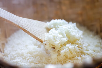 White Thai jasmine rice put on bowl and sack in white background.isolated picture style.