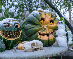 first snow, carved decorative pumpkins in the garden, first snow on pumpkin decors, halloween, pumpkin decor