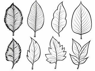 Assorted leaf outlines for creative coloring activities - detailed botanical illustration vector set - obrazy, fototapety, plakaty