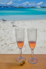 Rose wine at Caribbean Los Roques beach
