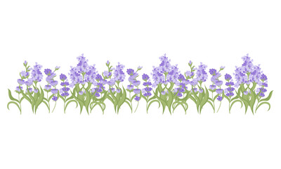 Obraz premium Decorative border of lavender flowers for your design. Vector illustration isolated on white background.