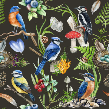 Birds with forest natural elements seamless pattern. Forest nature seamless pattern with birds. Hand drawn woodpecker, jay, kingfisher, blue tit with natural elements, mushrooms and greens