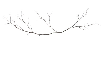 Dry branches isolated on transparent and white background.PNG image. - obrazy, fototapety, plakaty