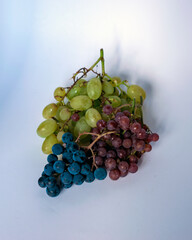 grapes of different shapes and colors on the table, grape tasting and tasting concept