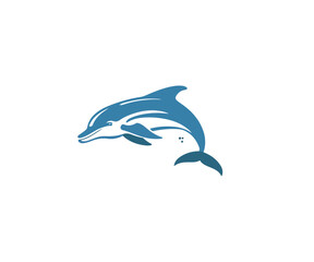 dolphin logo design template