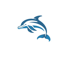 Obraz premium dolphin logo design template