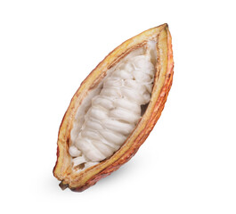 Fresh cocoa half isolated on transparent background. (.PNG)