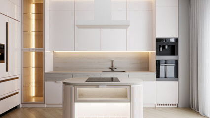 modern kitchen interior with kitchen