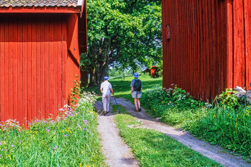 Two women walking on a road between two red barns in the summer