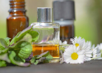 closeup on a bottle of essential oil and daisies with fresh mint leaf on a wooden table - 764539705