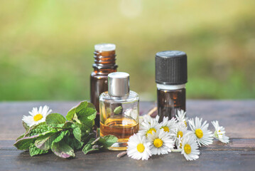bottles of essential oil and daisies with fresh mint leaf on a wooden table  outdoors - 764539727