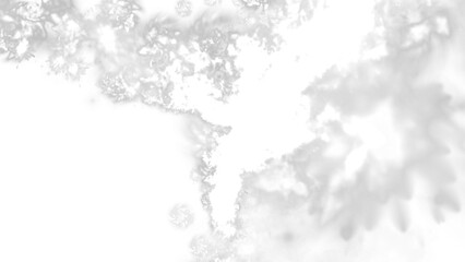 black and white background