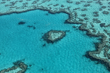 Whitsunday sea, aerial photography, heart shaped coral reef