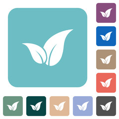 Naklejka premium Leaves solid rounded square flat icons