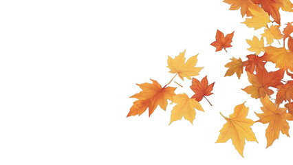 Autumn maple leaves fall, png file of isolated cutout object on transparent background.