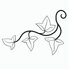 Floral ivy drawing decorative ornament flat design. - 764546303
