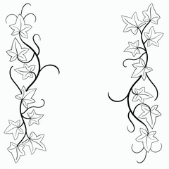 Floral ivy drawing decorative ornament flat design. - 764546316