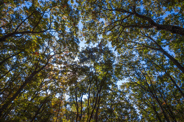 Shenandoah National Park along the Blue Ridge Mountains in Virginia