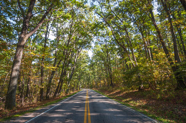 Fototapeta na wymiar The Skyline Drive at Shenandoah National Park along the Blue Ridge Mountains in Virginia