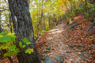 A Hiking Trail at Shenandoah National Park along the Blue Ridge Mountains in Virginia