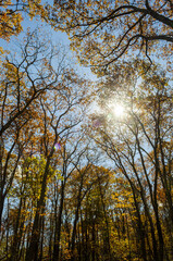 Shenandoah National Park along the Blue Ridge Mountains in Virginia