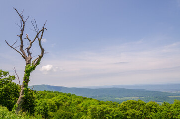 Shenandoah National Park along the Blue Ridge Mountains in Virginia