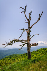 Shenandoah National Park along the Blue Ridge Mountains in Virginia