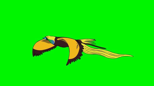 Flying birds of paradise. Cartoon animated illustration of bird by contr4
