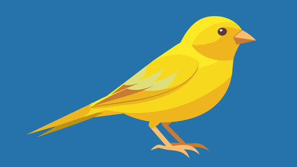 Exquisite Domestic Canary Vector Art Elevate Your Designs with Stunning Graphics