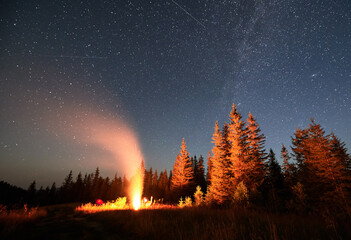 Night camping under starry sky in mountains near forest. Tourists having a rest near campfire under...