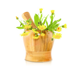Isolated Mortar and Pestle on Transparent Background