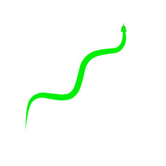Poisonous Green Snake