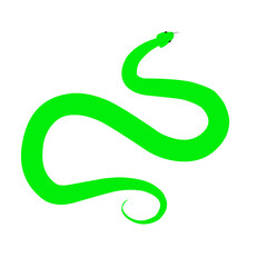 Poisonous Green Snake