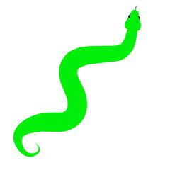 Poisonous Green Snake