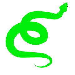 Poisonous Green Snake