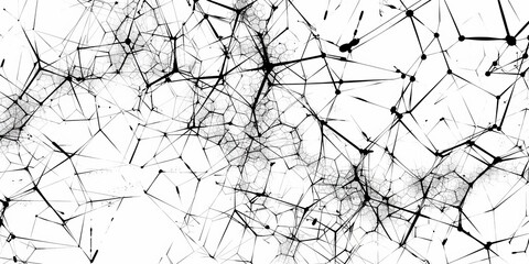 A black and white image of a web of lines and dots